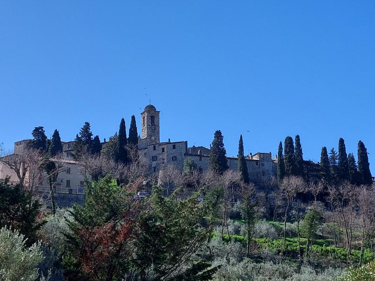 La Selvarella Montecchio  Exterior foto
